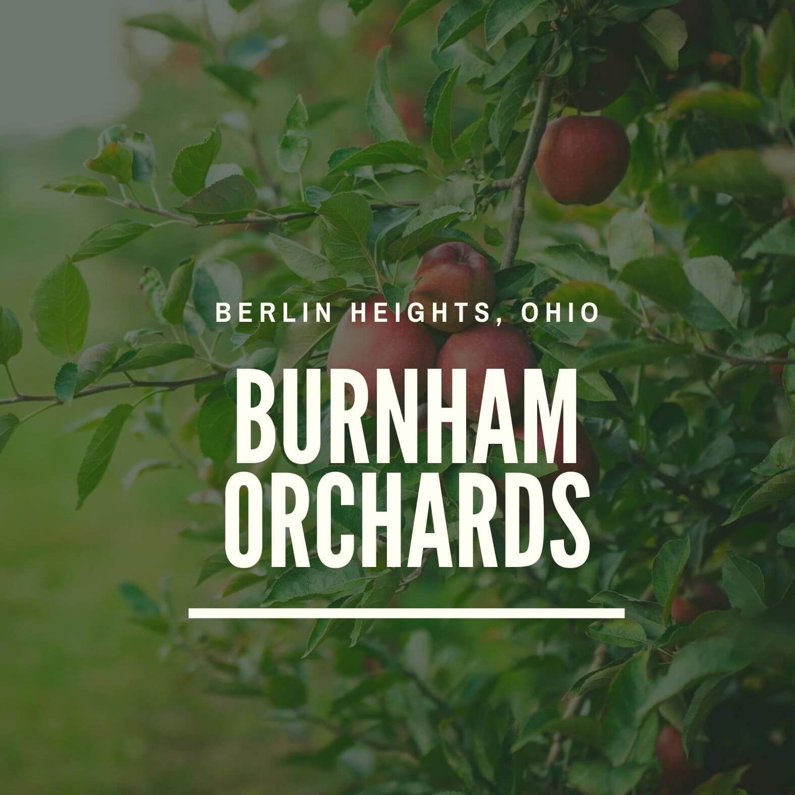 New Year’s resolutions with Burnham Orchards Fresh Forward