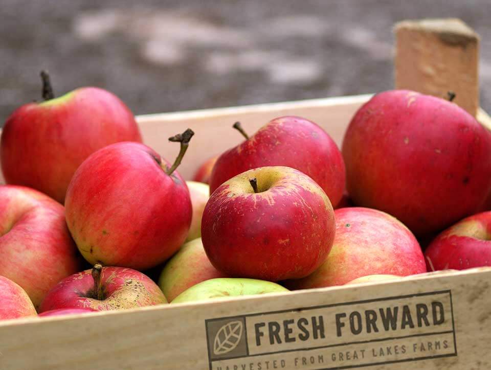 Fresh-picked Pink Lady Apples Box of 16 Apples