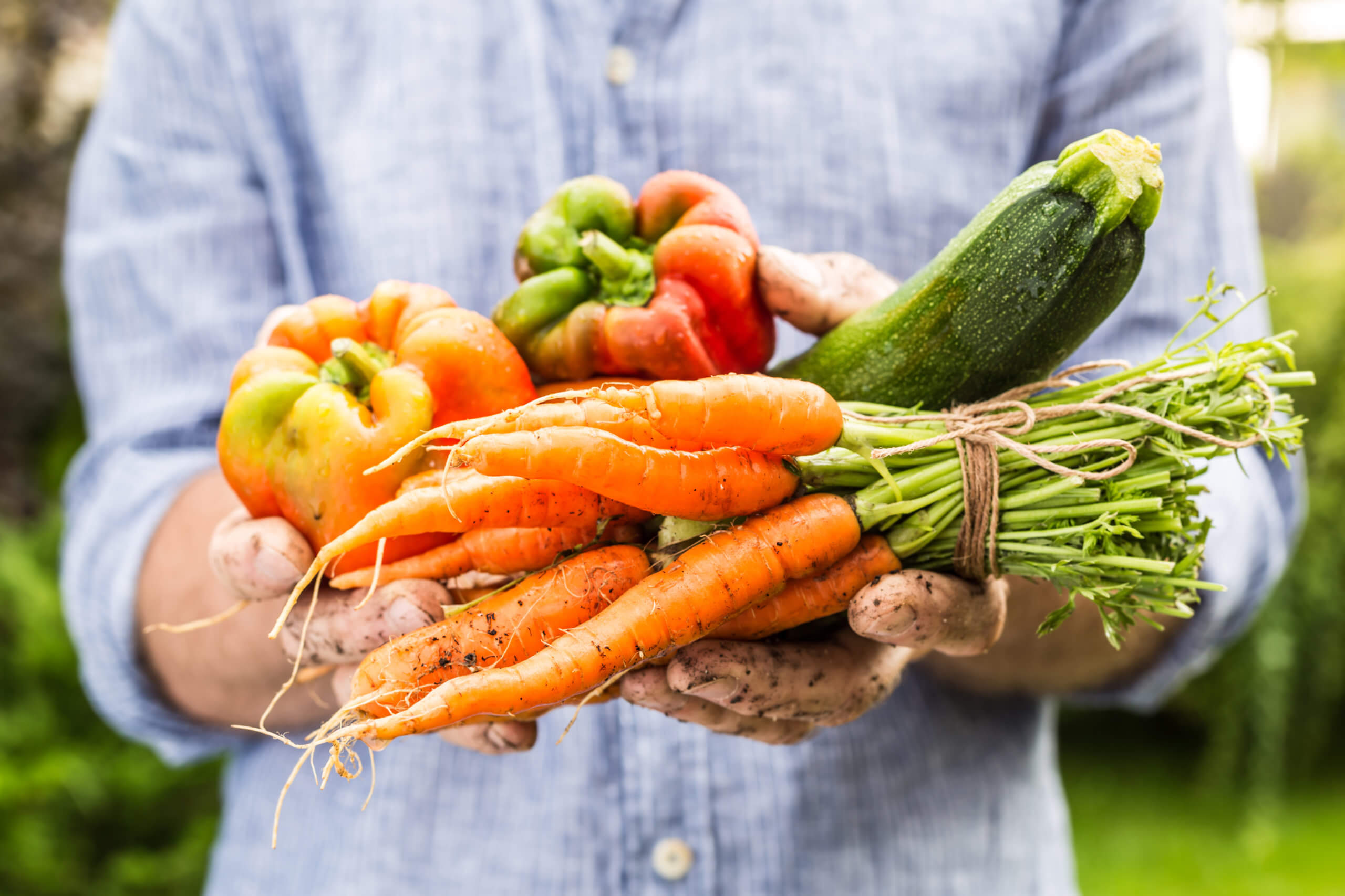 Fresh Produce In French Translation